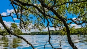 Spływ kajakowy - rzeka Dajna - Piecki - rzeka Guber - zdjęcie 18