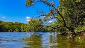 Spływ kajakowy - rzeka Dajna - Piecki - rzeka Guber - zdjęcie 16