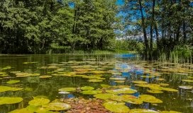 Spływ kajakowy - rzeka Dajna - Piecki - rzeka Guber - zdjęcie 15