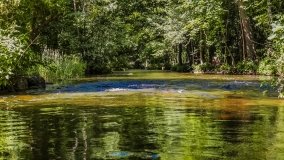 Spływ kajakowy - rzeka Dajna - Piecki - rzeka Guber - zdjęcie 14