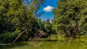 Spływ kajakowy - rzeka Dajna - Piecki - rzeka Guber - zdjęcie 13