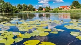 Spływ kajakowy - rzeka Dajna - Piecki - rzeka Guber - zdjęcie 10