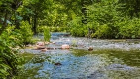 Spływ kajakowy - rzeka Dajna - Piecki - rzeka Guber - zdjęcie 4