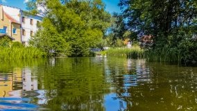 Spływ kajakowy - rzeka Dajna - Piecki - rzeka Guber - zdjęcie 3