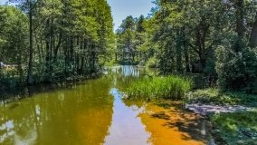 Spływ kajakowy - rzeka Dajna - Piecki - rzeka Guber - zdjęcie 34