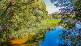 Spływ kajakowy - rzeka Dajna - Piecki - rzeka Guber - zdjęcie 28