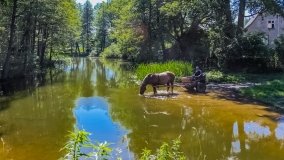 Spływ kajakowy - rzeka Dajna - Piecki - rzeka Guber - zdjęcie 27