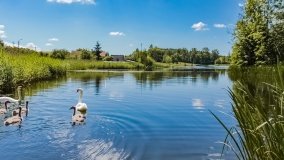 Spływ kajakowy - rzeka Dajna - Piecki - rzeka Guber - zdjęcie 24