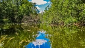 Spływ kajakowy - rzeka Dajna - Piecki - rzeka Guber - zdjęcie 23