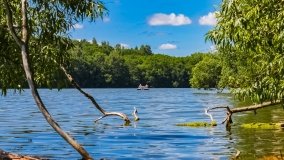 Spływ kajakowy - rzeka Dajna - Piecki - rzeka Guber - zdjęcie 22