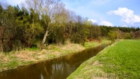 Spływ kajakowy - rzeka Guber - zdjęcie 3