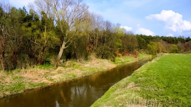 Guber - zdjęcie 3