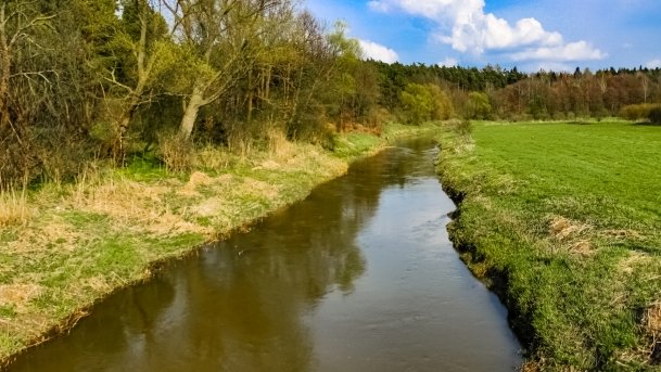 Guber - zdjęcie 1