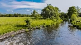 Spływ kajakowy - rzeka Lega - zdjęcie 15