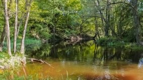 Spływ kajakowy - rzeka Lega - zdjęcie 13