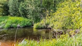 Spływ kajakowy - rzeka Lega - zdjęcie 5