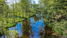 Spływ kajakowy - rzeka Lega - zdjęcie 4