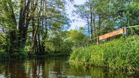 Spływ kajakowy - rzeka Lega - zdjęcie 2