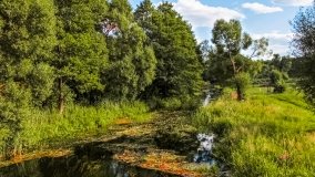 Spływ kajakowy - rzeka Łaźnia Struga - zdjęcie 13