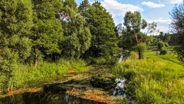 Łaźna Struga - zdjęcie 13
