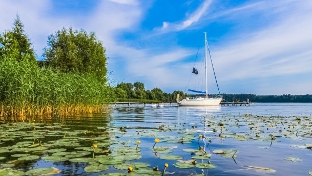 Łaźna Struga - zdjęcie 12