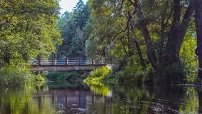 Spływ kajakowy - rzeka Łaźnia Struga - zdjęcie 11