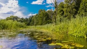 Spływ kajakowy - rzeka Łaźnia Struga - zdjęcie 10
