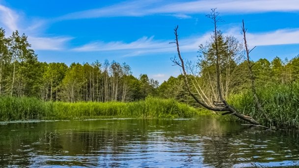 Łaźna Struga - zdjęcie 4