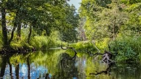 Spływ kajakowy - rzeka Łaźnia Struga - zdjęcie 3