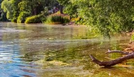 Spływ kajakowy - rzeka Łaźnia Struga - zdjęcie 2