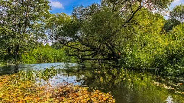 Łaźna Struga - zdjęcie 1