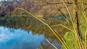 Spływ kajakowy - rzeka Łyna - zdjęcie 8