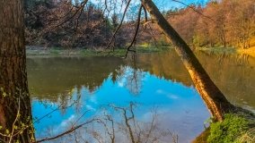 Spływ kajakowy - rzeka Łyna - zdjęcie 7