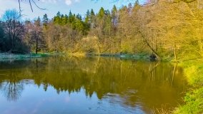 Spływ kajakowy - rzeka Łyna - zdjęcie 2