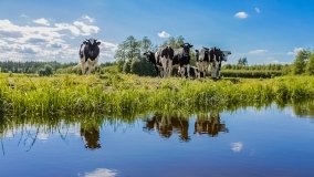 Spływ kajakowy - rzeka Orzysza - zdjęcie 15