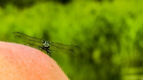 Spływ kajakowy - rzeka Sapina - jez. Święcajty - zdjęcie 130