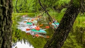 Spływ kajakowy - rzeka Sapina - jez. Święcajty - zdjęcie 129