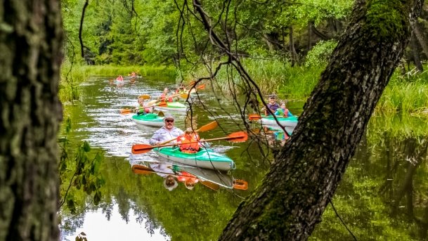 Sapina - zdjęcie 129