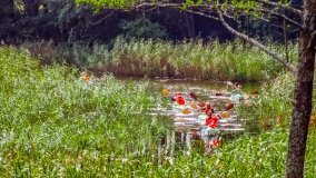 Spływ kajakowy - rzeka Sapina - jez. Święcajty - zdjęcie 127