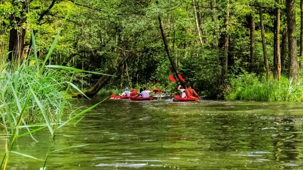 Sapina - zdjęcie 126