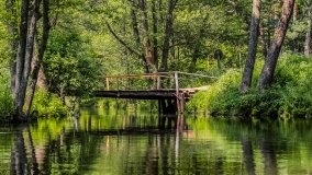 Spływ kajakowy - rzeka Sapina - jez. Święcajty - zdjęcie 124