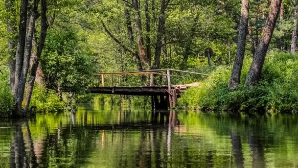 Sapina - zdjęcie 124