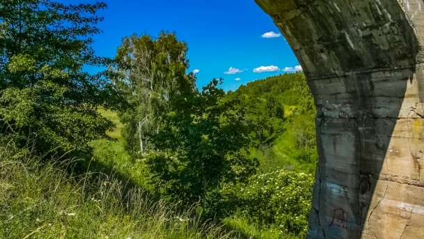 Sapina - zdjęcie 123