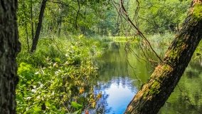 Spływ kajakowy - rzeka Sapina - jez. Święcajty - zdjęcie 122