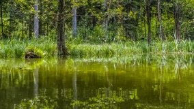 Spływ kajakowy - rzeka Sapina - jez. Święcajty - zdjęcie 119