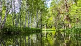 Spływ kajakowy - rzeka Sapina - jez. Święcajty - zdjęcie 117