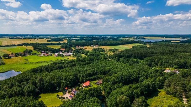 Sapina - zdjęcie 111