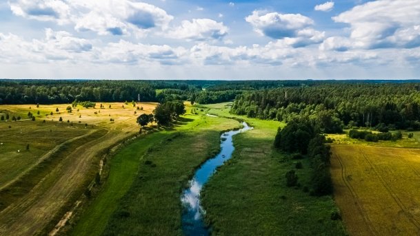 Sapina - zdjęcie 110