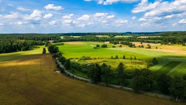 Sapina - zdjęcie 108