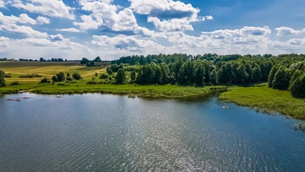 Sapina - zdjęcie 105